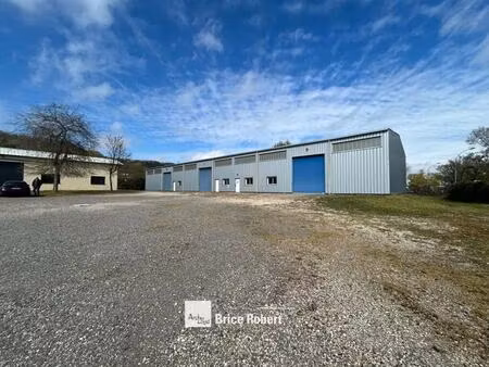 location local d’activités neyron 01700 1650m²
