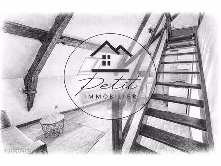 studio 1 pièce 22 m²