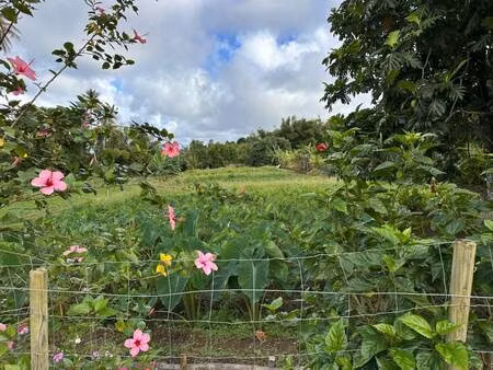 terrain constructible à vendre