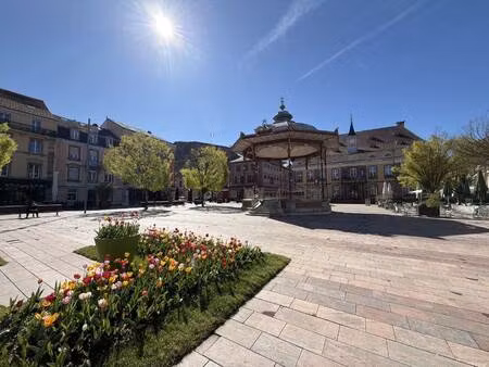 immobiliere du chateau belfort