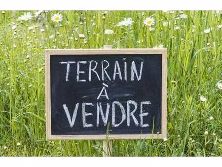 vente terrain à grosbreuil (85440) : à vendre / 461m² grosbreuil