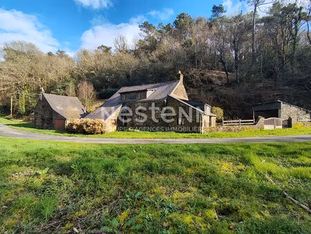 maison de charme à vendre à pluherlin - environnement exceptionnel sur 45390 m²