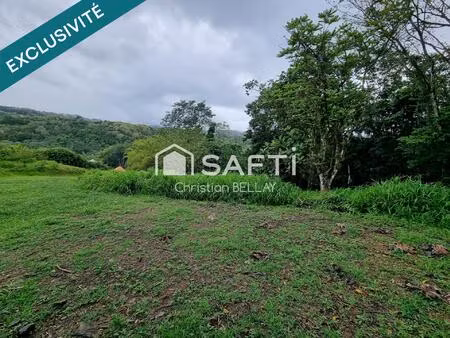 terrain à bâtir – potentiel division - lamentin