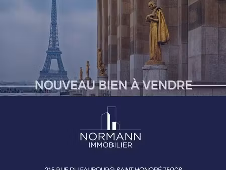 paris 16 - trocadero - 2 pieces grand luxe