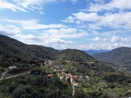 maison de 8 pièces de luxe en vente à sainte-lucie-de-tallano  corse