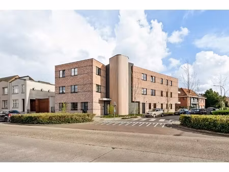 appartement te huur in brasschaat met 3 slaapkamers