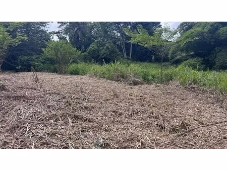 en vente terrain constructible 10 89 ares – 134 000 € |le lamentin