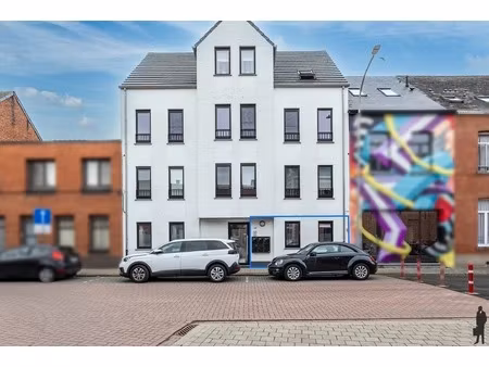 appartement te huur in hoogstraten met 1 slaapkamer