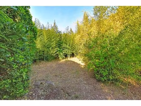 vente maison 10 pièces 320 m² caunes-minervois (11160)