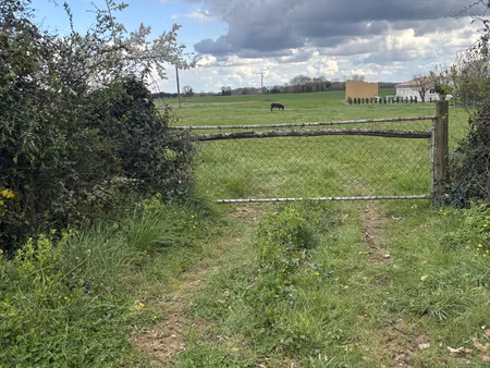 achat terrain 2 719m² cloue 86600