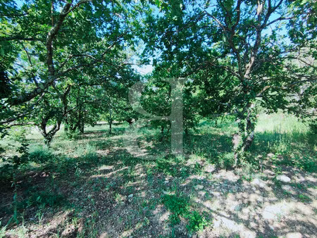achat terrain 1 335m² vaison la romaine 84110