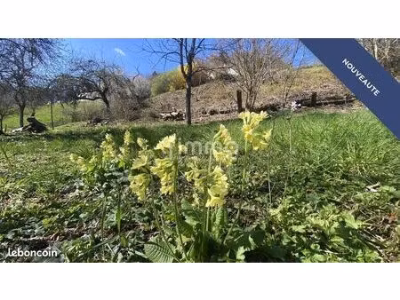 terrain 1310 m² lautenbachzell