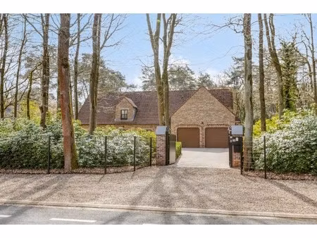 schepersweg 116  3600 genk