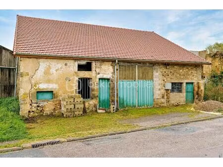 grange de 250 m² à breuvannes-en-bassigny