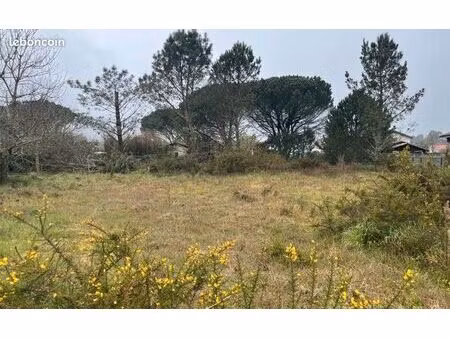 terrain 1 531 m² saugnac et muret