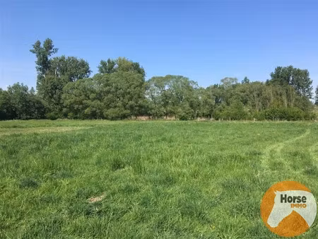 grond te koop in denderleeuw