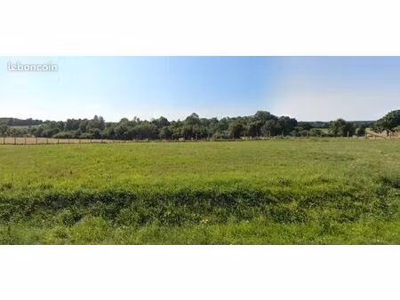 terrain 240 m² monnaie