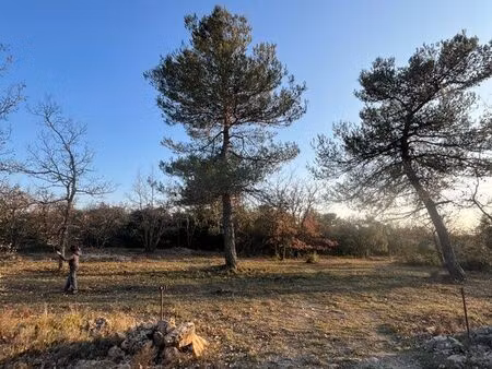 terrain 3 98 ha – nature  chasse & détente – vauvenargues (13)