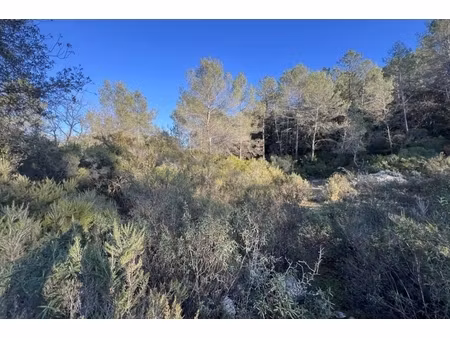 annonce terrain à vendre