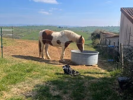 recherche terrain agricole 1ha