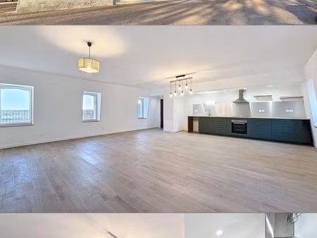 t3 de 114m² avec terrasse (35m²) - lavaur