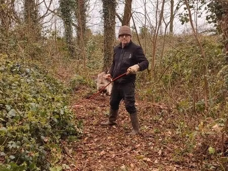 cherche terrain boisé pour loisirs
