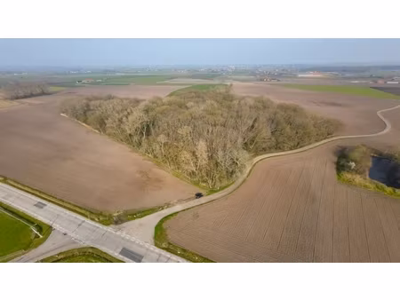 grond te koop in diksmuide