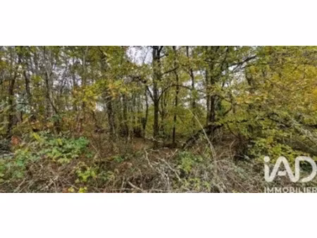 terrain à bourgnac (24400)