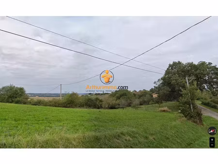 vente terrain 7277 m2 à villecomtal-sur-arros