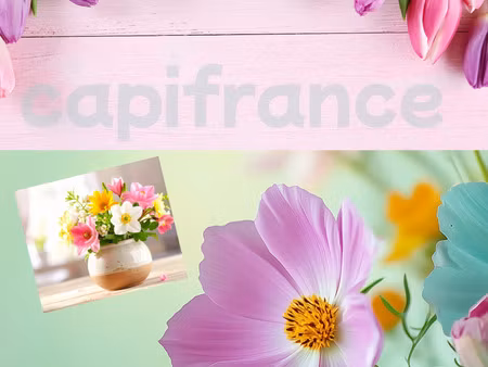fonds de commerce à vendre saint amand les eaux 100m2 64 400€