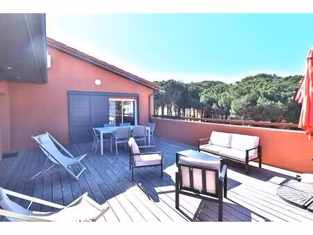 appartement alenya 3 pièce(s) 57 m2 avec une terrasse de 50m²