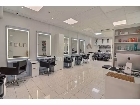 vente commerce 3 pièces 66 m² flins-sur-seine (78410)