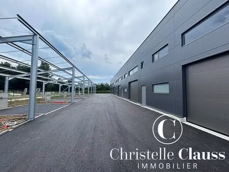 location commerce 147 m²