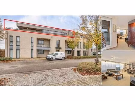 appartement à vendre à pasweg 45 beverst (rbv65808)