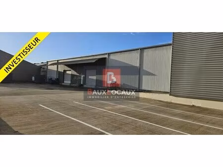 vente local d’activités entraigues sur la sorgue 84320 5097m²