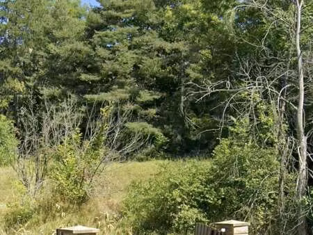 vente terrain à saint-sauveur (05200) : à vendre / 717m² saint-sauveur