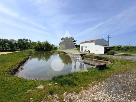 cabane ostréicole et claires  bourcefranc le chapus
