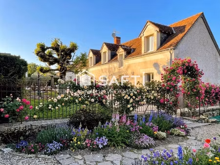 vente maison 7 pièces 252 m² luzillé (37150)