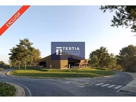 location commerce 215 m² à 433 m²