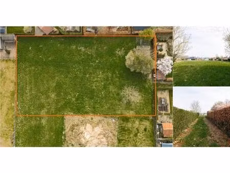 terrain à vendre de 1951 m² à kruisem (rbv65768)