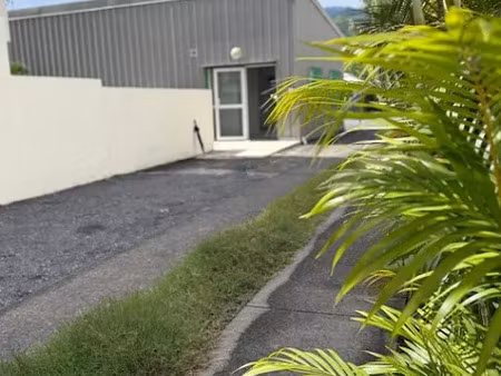 location locaux professionnels 87 m² à saint paul (97460)  2 097 €