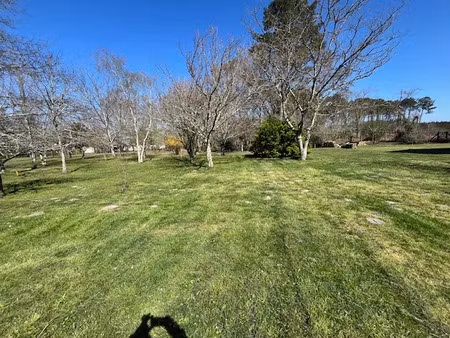 vente maison à construire 80 m² le teich (33470)