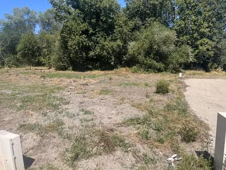 vente terrain à construire 646 m² le taillan-médoc (33320)