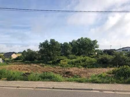 grand terrain à bâtir de 25 59 ares à halanzy (aubange)