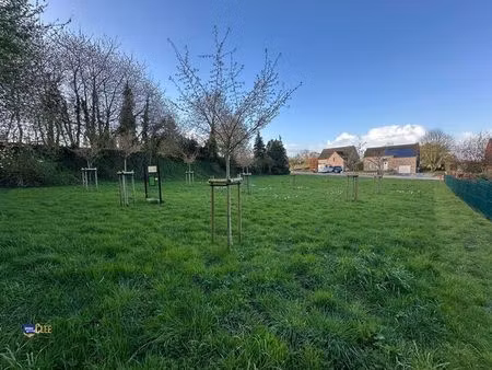 terrain à vendre à berloz € 82.500 (ln16h) - immoclee | zimmo