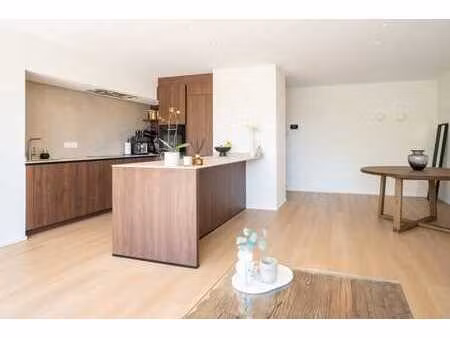 appartement luxueux avec 2 chambres et grande terrasse