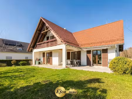 leymen  belle maison 6 pièces rénovée 130m2 sur 10 17ares  vue sur château!