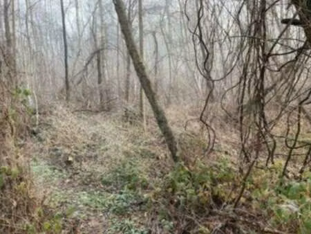 terrain à vendre à geel € 34.550 (ln1dq) - gerca | zimmo