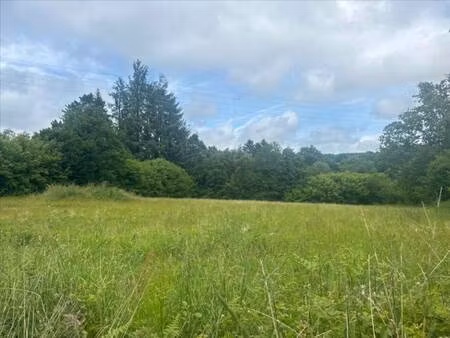 terrain constructible viabilisé à vendre