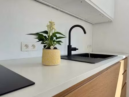 maison 2ch entièrement rénovée avec jardin plein sud